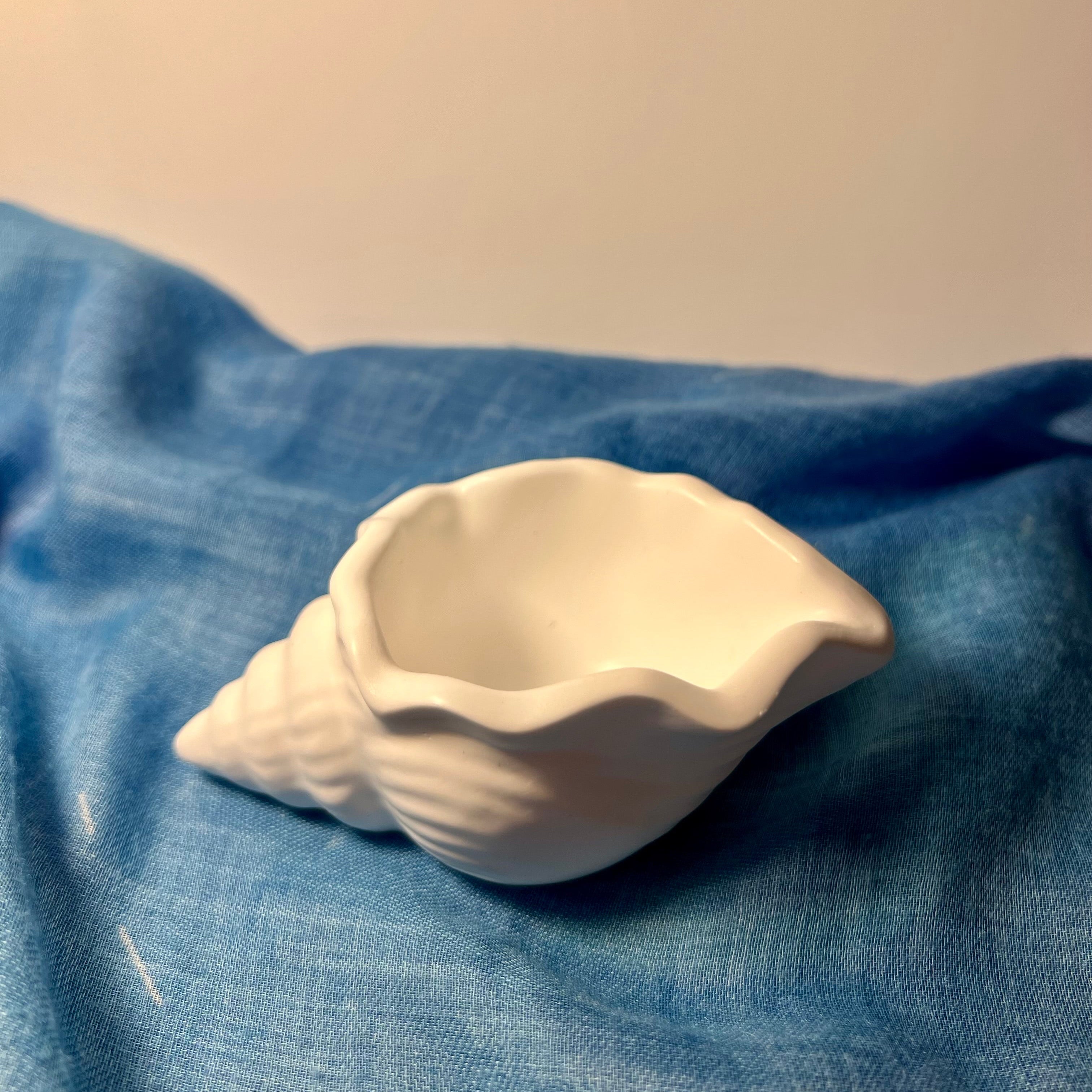 Concha Decorativa em Gesso Artesanal