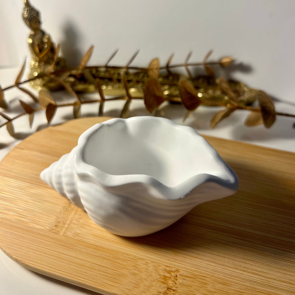 Concha Decorativa em Gesso Artesanal