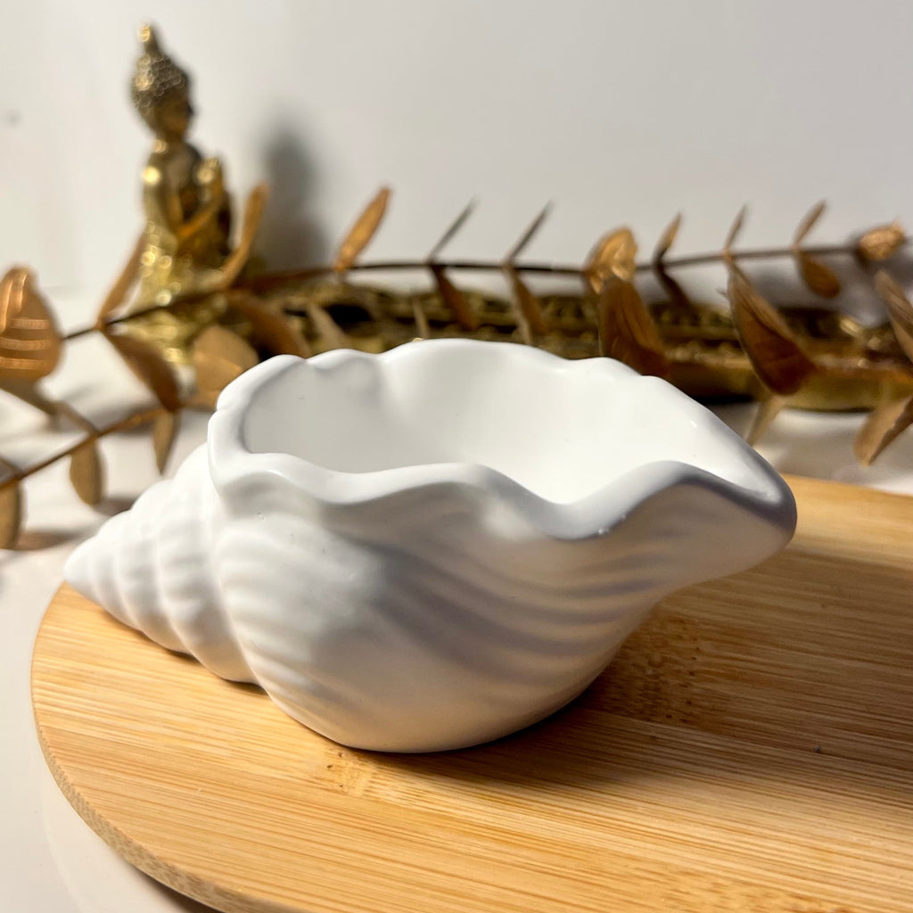 Concha Decorativa em Gesso Artesanal