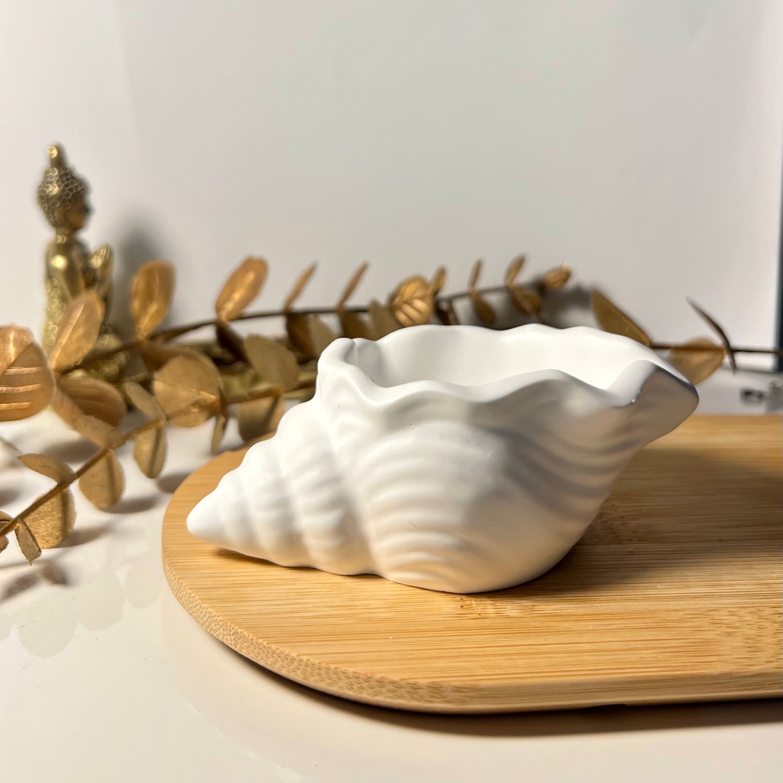Concha Decorativa em Gesso Artesanal