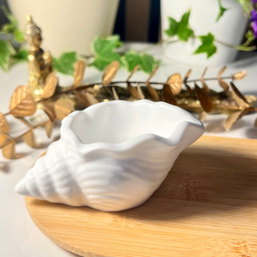 Concha Decorativa em Gesso Artesanal