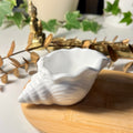 Concha Decorativa em Gesso Artesanal