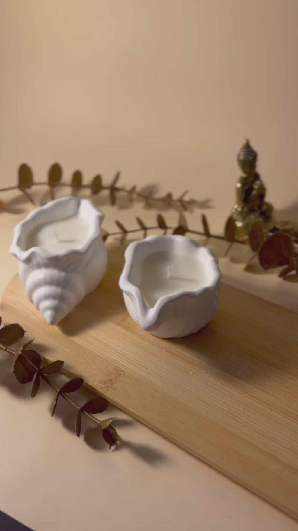 Concha em Gesso Decorativa + Vela Aromática